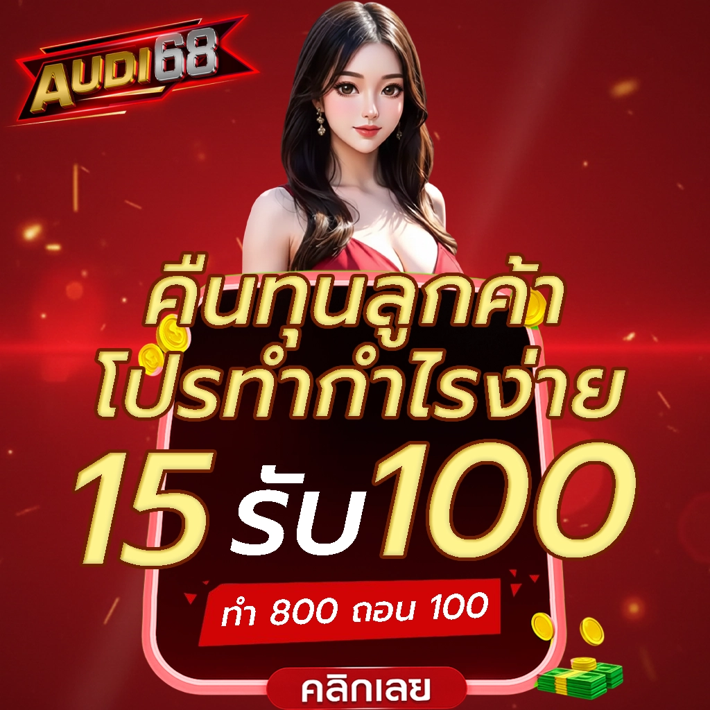 คืนทุนลูกค้า by audi68